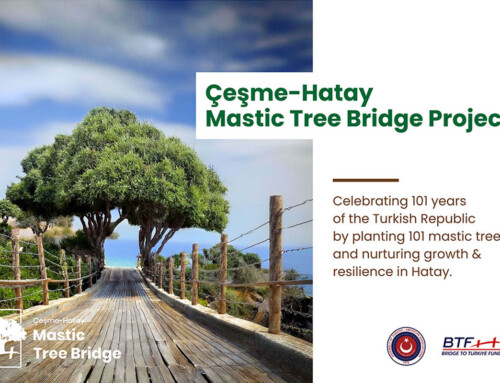 Çeşme-Hatay Mastic Tree Bridge Project